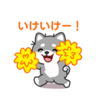 灰色柴犬マランちゃん～毎日が楽しい！（個別スタンプ：17）
