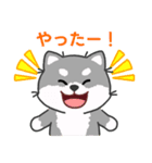 灰色柴犬マランちゃん～毎日が楽しい！（個別スタンプ：18）