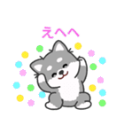 灰色柴犬マランちゃん～毎日が楽しい！（個別スタンプ：19）