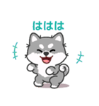 灰色柴犬マランちゃん～毎日が楽しい！（個別スタンプ：21）
