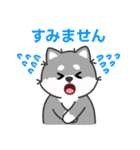 灰色柴犬マランちゃん～毎日が楽しい！（個別スタンプ：24）