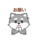 灰色柴犬マランちゃん～毎日が楽しい！（個別スタンプ：26）