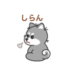 灰色柴犬マランちゃん～毎日が楽しい！（個別スタンプ：27）