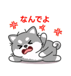 灰色柴犬マランちゃん～毎日が楽しい！（個別スタンプ：28）