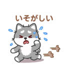 灰色柴犬マランちゃん～毎日が楽しい！（個別スタンプ：29）