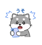 灰色柴犬マランちゃん～毎日が楽しい！（個別スタンプ：30）