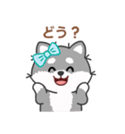 灰色柴犬マランちゃん～毎日が楽しい！（個別スタンプ：31）