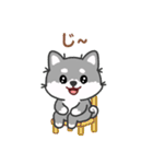 灰色柴犬マランちゃん～毎日が楽しい！（個別スタンプ：32）