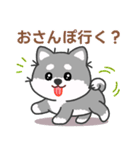 灰色柴犬マランちゃん～毎日が楽しい！（個別スタンプ：33）