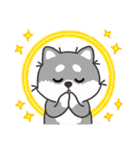 灰色柴犬マランちゃん～毎日が楽しい！（個別スタンプ：37）