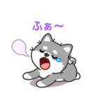 灰色柴犬マランちゃん～毎日が楽しい！（個別スタンプ：38）