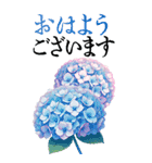 6月の花 大きくて見やすい挨拶スタンプ（個別スタンプ：1）
