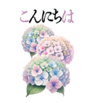 6月の花 大きくて見やすい挨拶スタンプ（個別スタンプ：2）