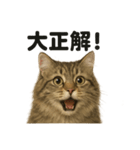 【褒め上手】リアル可愛いサイベリアン（個別スタンプ：3）