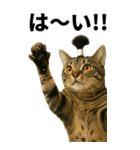 ちょんまげ猫の日常スタンプ。BIGなネコ（個別スタンプ：3）