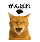 ちょんまげ猫の日常スタンプ。BIGなネコ（個別スタンプ：5）