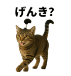 ちょんまげ猫の日常スタンプ。BIGなネコ（個別スタンプ：6）