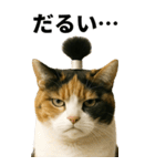 ちょんまげ猫の日常スタンプ。BIGなネコ（個別スタンプ：8）