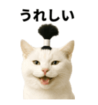 ちょんまげ猫の日常スタンプ。BIGなネコ（個別スタンプ：9）