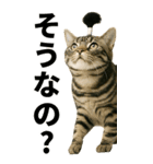 ちょんまげ猫の日常スタンプ。BIGなネコ（個別スタンプ：18）