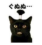 ちょんまげ猫の日常スタンプ。BIGなネコ（個別スタンプ：19）