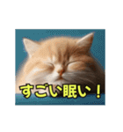 ほんわか動物の毎日スタンプ（個別スタンプ：5）