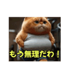 ほんわか動物の毎日スタンプ（個別スタンプ：7）