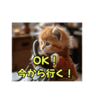 ほんわか動物の毎日スタンプ（個別スタンプ：16）