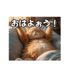 ほんわか動物の毎日スタンプ（個別スタンプ：19）