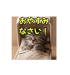 ほんわか動物の毎日スタンプ（個別スタンプ：21）