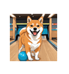 柴犬の日常7（個別スタンプ：6）