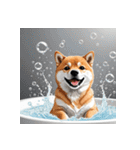 柴犬の日常7（個別スタンプ：16）