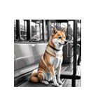 柴犬の日常7（個別スタンプ：21）