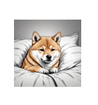 柴犬の日常7（個別スタンプ：24）