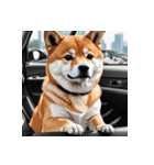 柴犬の日常7（個別スタンプ：29）