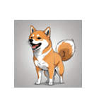 柴犬の日常7（個別スタンプ：30）