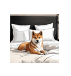 柴犬の日常7（個別スタンプ：39）