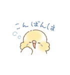 セキセイインコのゆずとライチ（個別スタンプ：3）