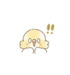 セキセイインコのゆずとライチ（個別スタンプ：19）