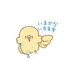 セキセイインコのゆずとライチ（個別スタンプ：24）