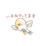 セキセイインコのゆずとライチ（個別スタンプ：25）