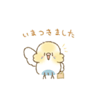 セキセイインコのゆずとライチ（個別スタンプ：27）