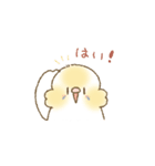セキセイインコのゆずとライチ（個別スタンプ：29）