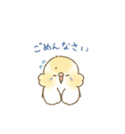 セキセイインコのゆずとライチ（個別スタンプ：31）