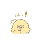 セキセイインコのゆずとライチ（個別スタンプ：36）