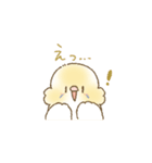 セキセイインコのゆずとライチ（個別スタンプ：37）