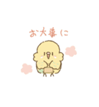 セキセイインコのゆずとライチ（個別スタンプ：38）