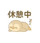 赤ちゃんペンギン【日常】スタンプ（個別スタンプ：37）