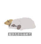 むぅもこといっしょ2（個別スタンプ：17）