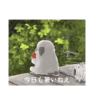 むぅもこといっしょ2（個別スタンプ：31）